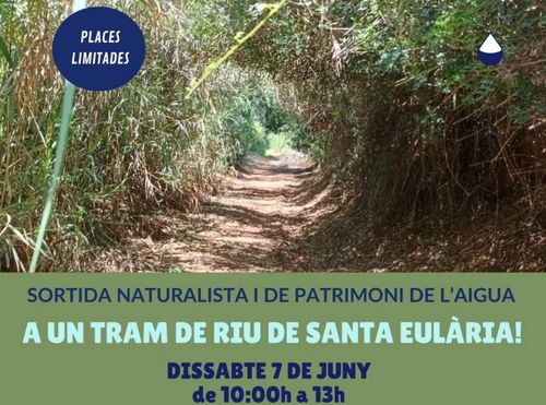 Sortida naturalista i de Patrimoni de l'Aigua