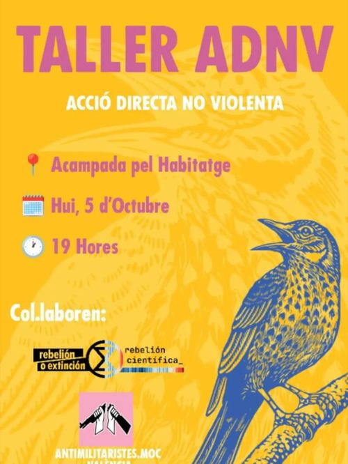 Taller d'Acció Directa no Violenta