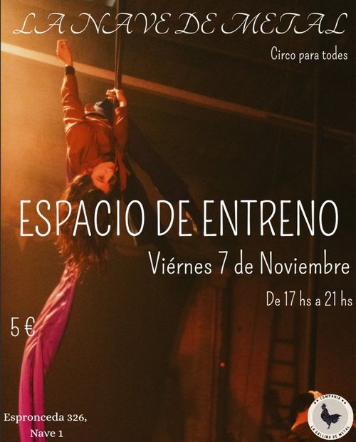 Espacio de Entreno (Circo, Danza...)