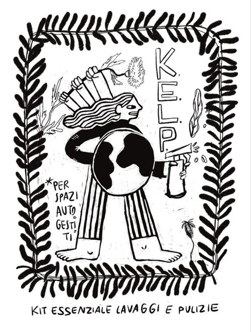 K.E.L.P. (Kit Essenziale per Lavagge e Pulizie)