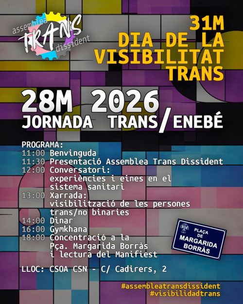 Jornada trans/enebé