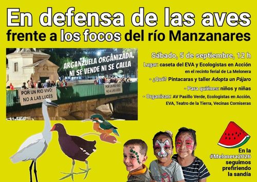Pintacaras y taller, adopta un pájaro