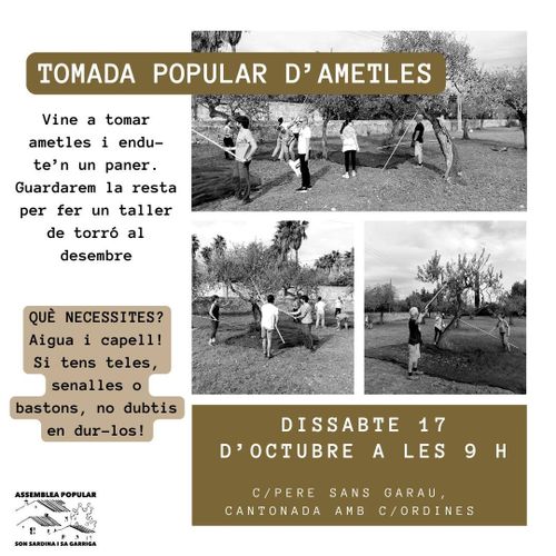 TOMADA POPULAR D'AMETLES