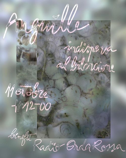Anguille
