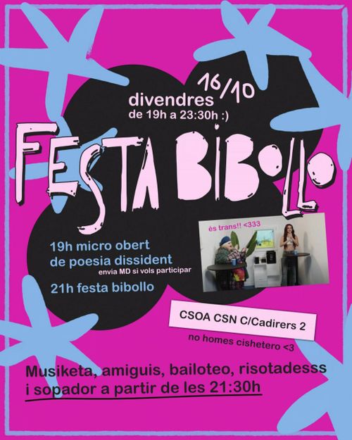 FESTA BIBOLLO