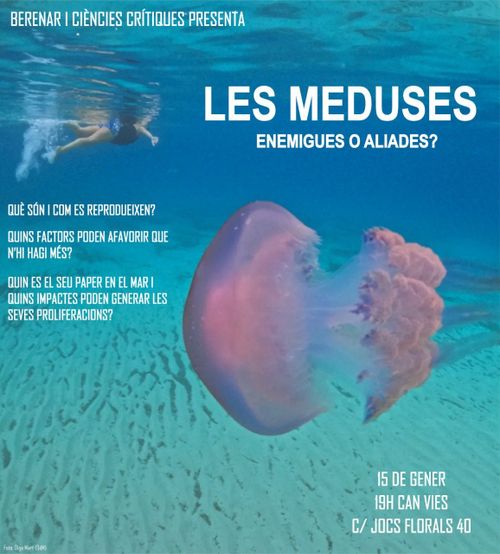Les meduses - enemigues o aliades?