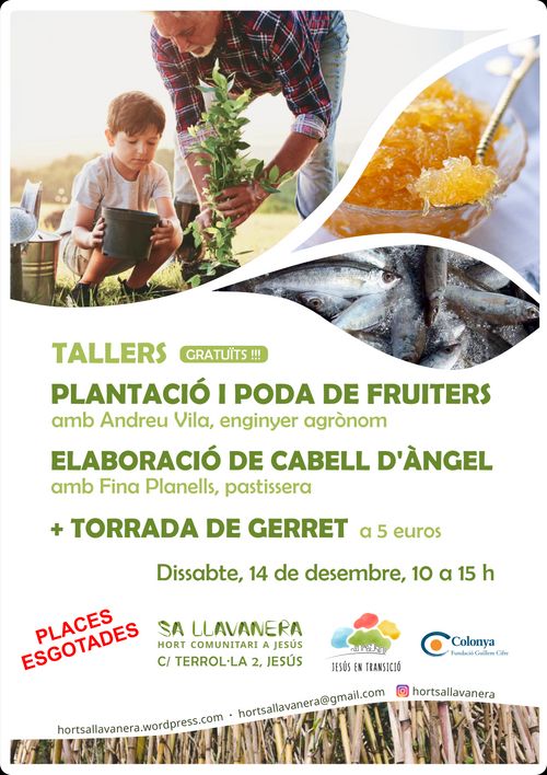 Tallers de Plantació de fruiters i d'Elaboració de cabell d'àngel + Torrada de gerret