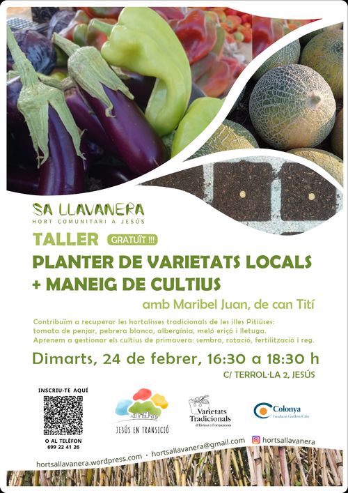 Taller de planter de varietats locals + maneig de cultius de primavera, amb Maribel Juan