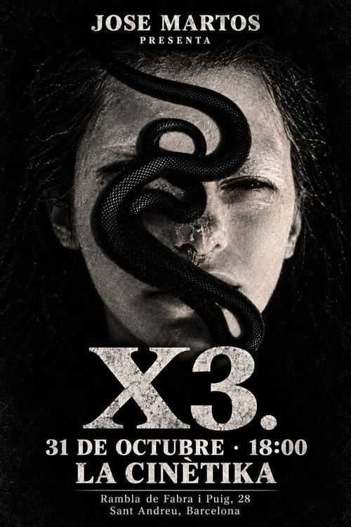 X3