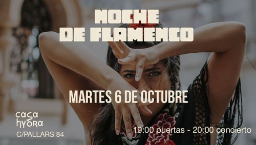 Noche de Flamenco 