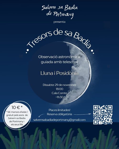 Tresors de sa Badia - Lluna i Posidònia
