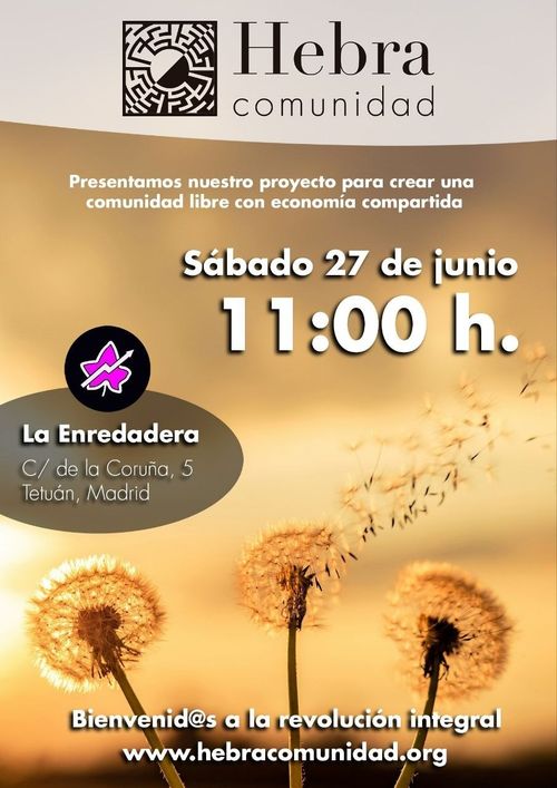 Proyecto Hebra Comunidad 